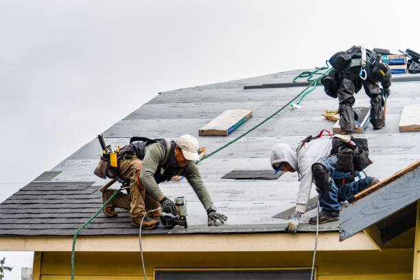 Professional Gutter Installation technician working in Lake Elmo, MN